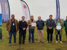 Influenza Aviar y heladas: Indemnizan por un total de $30 millones a tres productores de la Región del Maule Influenza Aviar y heladas: Indemnizan por un total de $30 millones a tres productores de la Región del Maule