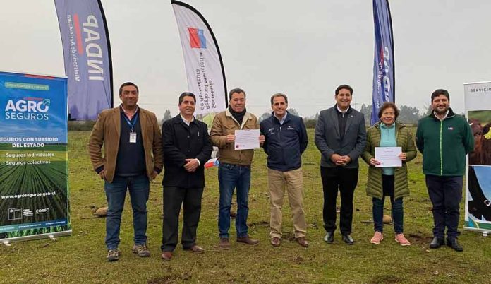 Influenza Aviar y heladas: Indemnizan por un total de $30 millones a tres productores de la Región del Maule Influenza Aviar y heladas: Indemnizan por un total de $30 millones a tres productores de la Región del Maule