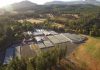 Internacional | Fall Creek adquiere Berryplant y Berrytech para entrar en frambuesas y moras Internacional | Fall Creek adquiere Berryplant y Berrytech para entrar en frambuesas y moras