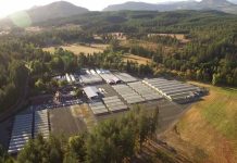 Internacional | Fall Creek adquiere Berryplant y Berrytech para entrar en frambuesas y moras Internacional | Fall Creek adquiere Berryplant y Berrytech para entrar en frambuesas y moras