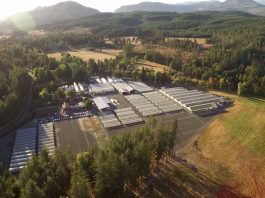 Internacional | Fall Creek adquiere Berryplant y Berrytech para entrar en frambuesas y moras Internacional | Fall Creek adquiere Berryplant y Berrytech para entrar en frambuesas y moras