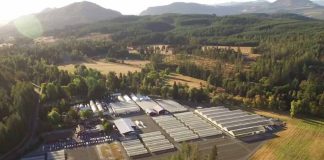 Internacional | Fall Creek adquiere Berryplant y Berrytech para entrar en frambuesas y moras Internacional | Fall Creek adquiere Berryplant y Berrytech para entrar en frambuesas y moras