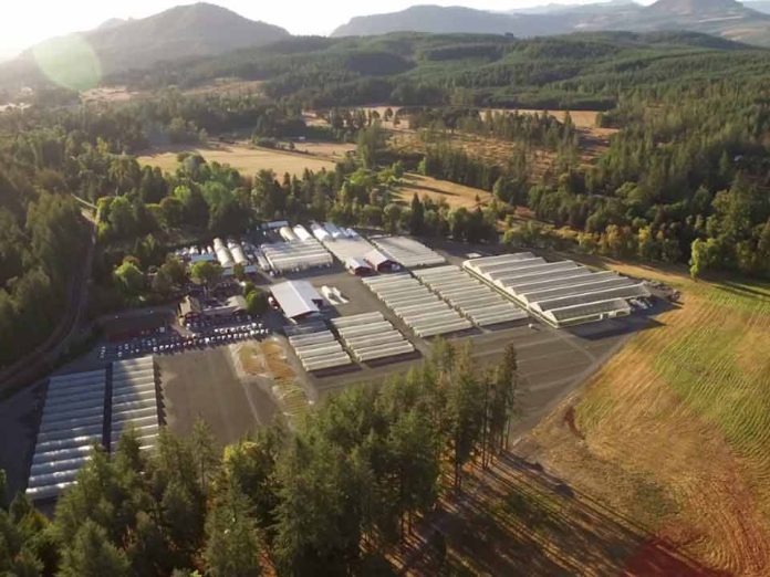 Internacional | Fall Creek adquiere Berryplant y Berrytech para entrar en frambuesas y moras Internacional | Fall Creek adquiere Berryplant y Berrytech para entrar en frambuesas y moras