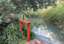 Junta de Vigilancia del Río Maule llama a precisar el debate sobre agua, infraestructura y seguridad de riego