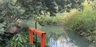 Junta de Vigilancia del Río Maule llama a precisar el debate sobre agua, infraestructura y seguridad de riego