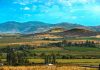 La Región del Maule será la gran invitada de honor en Espacio Food & Service 2026 La Región del Maule será la gran invitada de honor en Espacio Food & Service 2026