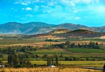 La Región del Maule será la gran invitada de honor en Espacio Food & Service 2026 La Región del Maule será la gran invitada de honor en Espacio Food & Service 2026