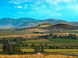 La Región del Maule será la gran invitada de honor en Espacio Food & Service 2026 La Región del Maule será la gran invitada de honor en Espacio Food & Service 2026