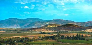La Región del Maule será la gran invitada de honor en Espacio Food & Service 2026 La Región del Maule será la gran invitada de honor en Espacio Food & Service 2026