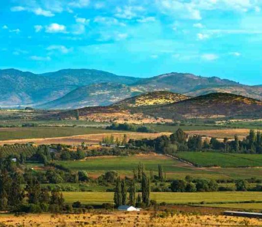 La Región del Maule será la gran invitada de honor en Espacio Food & Service 2026 La Región del Maule será la gran invitada de honor en Espacio Food & Service 2026