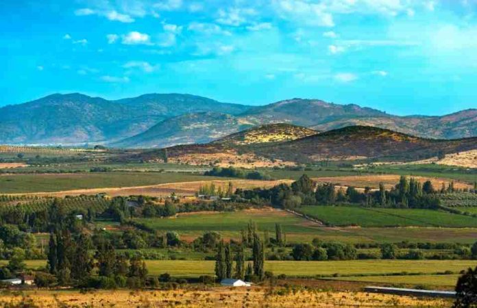 La Región del Maule será la gran invitada de honor en Espacio Food & Service 2026 La Región del Maule será la gran invitada de honor en Espacio Food & Service 2026