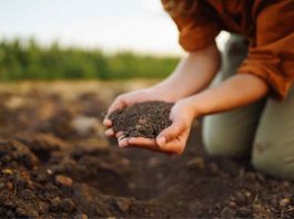 Reportaje | La metamorfosis del suelo chileno: el estado actual del SIRSD-S ante el cambio climático Reportaje | La metamorfosis del suelo chileno: el estado actual del SIRSD-S ante el cambio climático