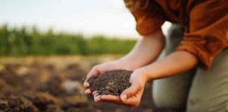 Noticia: Reportaje | La metamorfosis del suelo chileno: el estado actual del SIRSD-S ante...