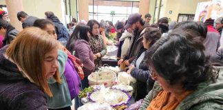 Más de 100 guardadoras intercambiaron semillas tradicionales en Ñuble para fortalecer biodiversidad agrícola