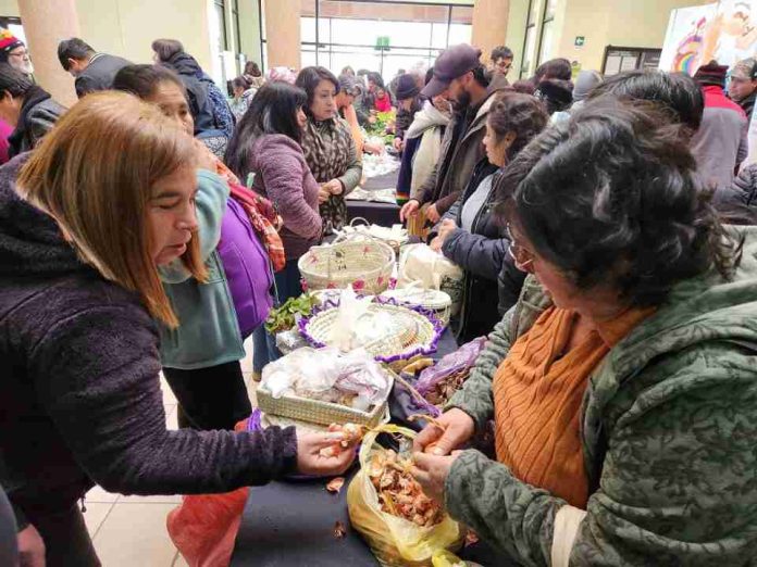 Más de 100 guardadoras intercambiaron semillas tradicionales en Ñuble para fortalecer biodiversidad agrícola