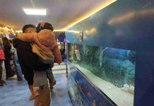 Más de 2.300 visitantes participaron en la Feria del Mar UCN 2026