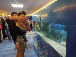 Más de 2.300 visitantes participaron en la Feria del Mar UCN 2026 Más de 2.300 visitantes participaron en la Feria del Mar UCN 2026