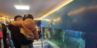 Más de 2.300 visitantes participaron en la Feria del Mar UCN 2026
