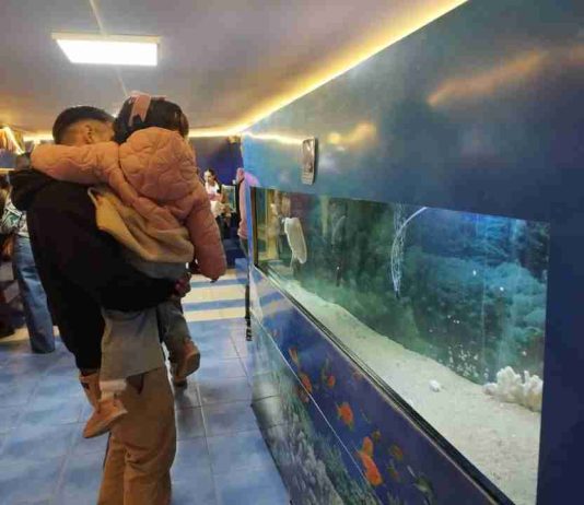 Más de 2.300 visitantes participaron en la Feria del Mar UCN 2026 Más de 2.300 visitantes participaron en la Feria del Mar UCN 2026