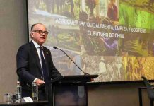Ministro de Agricultura proyecta una temporada 2026-2027 desafiante y detalla avances en nueva ley de fomento forestal Ministro de Agricultura proyecta una temporada 2026-2027 desafiante y detalla avances en nueva ley de fomento forestal