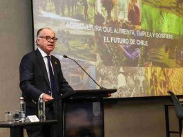 Ministro de Agricultura proyecta una temporada 2026-2027 desafiante y detalla avances en nueva ley de fomento forestal Ministro de Agricultura proyecta una temporada 2026-2027 desafiante y detalla avances en nueva ley de fomento forestal