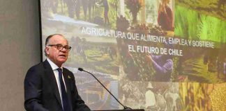 Ministro de Agricultura proyecta una temporada 2026-2027 desafiante y detalla avances en nueva ley de fomento forestal
