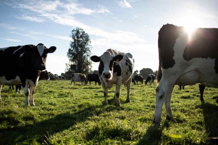 Nestlé reduce un 26% las emisiones de gases de efecto invernadero en su cadena de valor láctea a nivel global