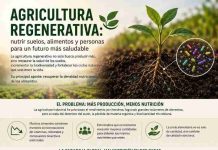 Nutrir Suelos, para mejorar la salud Humana y como la Agricultura Regenerativa es la respuesta Nutrir Suelos, para mejorar la salud Humana y como la Agricultura Regenerativa es la respuesta