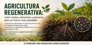 Noticia: Reportaje | Nutrir Suelos, para mejorar la salud Humana y como...