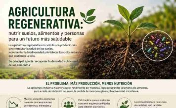 Reportaje | Nutrir Suelos, para mejorar la salud Humana y como la Agricultura Regenerativa es la respuesta Nutrir Suelos, para mejorar la salud Humana y como la Agricultura Regenerativa es la respuesta