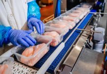 Packaging sostenible: el aliado del futuro para alimentar al mundo con responsabilidad Packaging sostenible: el aliado del futuro para alimentar al mundo con responsabilidad