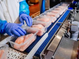 Packaging sostenible: el aliado del futuro para alimentar al mundo con responsabilidad Packaging sostenible: el aliado del futuro para alimentar al mundo con responsabilidad