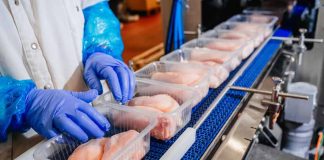 Packaging sostenible: el aliado del futuro para alimentar al mundo con responsabilidad
