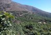 Paltas de Chile impulsa estudio pionero que mide biodiversidad y CO2 en cultivos de paltos