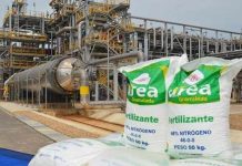 Perú | Piura :plantean impulsar planta petroquímica para reducir costo de fertilizantes Perú | Piura :plantean impulsar planta petroquímica para reducir costo de fertilizantes