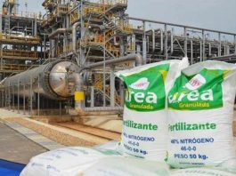 Perú | Piura :plantean impulsar planta petroquímica para reducir costo de fertilizantes Perú | Piura :plantean impulsar planta petroquímica para reducir costo de fertilizantes