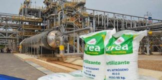 Perú | Piura :plantean impulsar planta petroquímica para reducir costo de fertilizantes Perú | Piura :plantean impulsar planta petroquímica para reducir costo de fertilizantes
