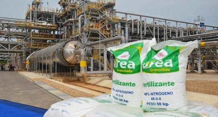 Perú | Piura :plantean impulsar planta petroquímica para reducir costo de fertilizantes Perú | Piura :plantean impulsar planta petroquímica para reducir costo de fertilizantes