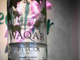Pisco chileno obtiene Doble Medalla de Oro en Estados Unidos y obtiene cupo para competir por el mejor pisco del mundo