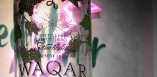 Pisco chileno obtiene Doble Medalla de Oro en Estados Unidos y obtiene cupo para competir por el mejor pisco del mundo Pisco chileno obtiene Doble Medalla de Oro en Estados Unidos y obtiene cupo para competir por el mejor pisco del mundo
