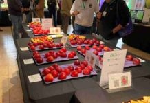 PomaExpo 2026 reúne a más de 250 asistentes y refuerza su rol clave en el sector manzanero PomaExpo 2026 reúne a más de 250 asistentes y refuerza su rol clave en el sector manzanero