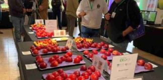 PomaExpo 2026 reúne a más de 250 asistentes y refuerza su rol clave en el sector manzanero PomaExpo 2026 reúne a más de 250 asistentes y refuerza su rol clave en el sector manzanero