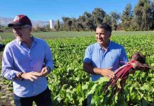Productores locales reducen un 32% las aplicaciones fitosanitarias e incrementan rendimientos con Manejo Integrado de Plagas en un 433% Productores locales reducen un 32% las aplicaciones fitosanitarias e incrementan rendimientos con Manejo Integrado de Plagas en un 433%