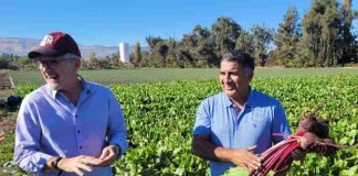 Productores locales reducen un 32% las aplicaciones fitosanitarias e incrementan rendimientos con Manejo Integrado de Plagas en un 433% Productores locales reducen un 32% las aplicaciones fitosanitarias e incrementan rendimientos con Manejo Integrado de Plagas en un 433%