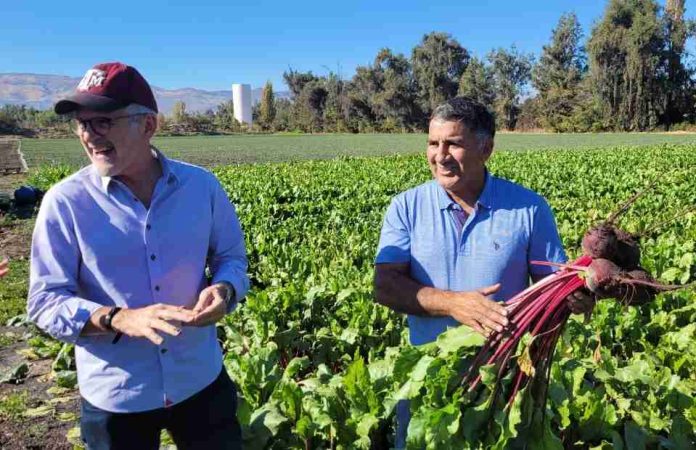 Productores locales reducen un 32% las aplicaciones fitosanitarias e incrementan rendimientos con Manejo Integrado de Plagas en un 433%