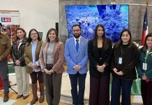 Productoresas de papa de Biobío conmemoran Día Internacional de la Papa con charlas y degustación