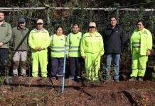 Programa de Emergencia de Empleo impulsa producción de plantas nativas y restauración ecológica en Los Ríos Programa de Emergencia de Empleo impulsa producción de plantas nativas y restauración ecológica en Los Ríos