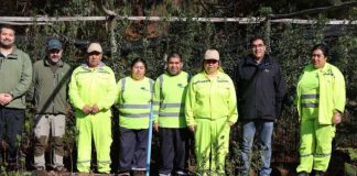 Programa de Emergencia de Empleo impulsa producción de plantas nativas y restauración ecológica en Los Ríos Programa de Emergencia de Empleo impulsa producción de plantas nativas y restauración ecológica en Los Ríos