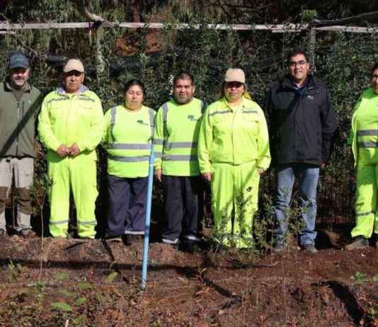 Programa de Emergencia de Empleo impulsa producción de plantas nativas y restauración ecológica en Los Ríos Programa de Emergencia de Empleo impulsa producción de plantas nativas y restauración ecológica en Los Ríos