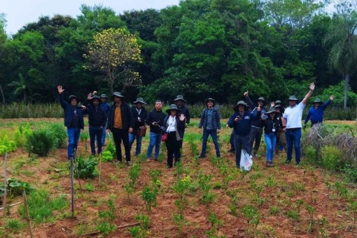 Proyecto +Bosques ha beneficiado a más de siete mil propietarios y familias de bosque nativo en Chile Proyecto +Bosques ha beneficiado a más de siete mil propietarios y familias de bosque nativo en Chile